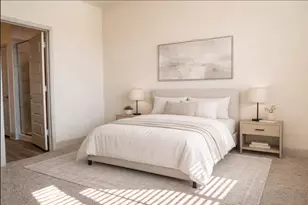 18313 Anicio Gallo Dr, Pflugerville, TX 78660 - Photo 8