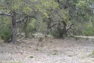 4016 McGregor Ln Lot 1-2, Dripping Springs, TX 78620 - Photo 30
