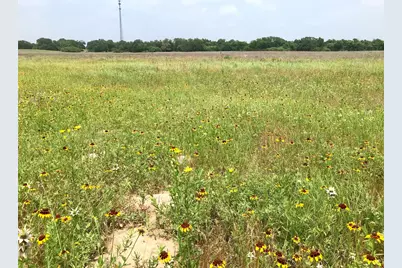 1672 Sayers Tract 2 Road, Bastrop, TX 78602 - Photo 6