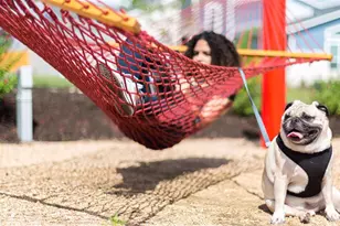 8706 Basil Hayden Ln, Austin, TX 78744 - Photo 6