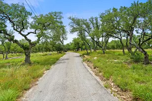 290 Sunset Ridge, Dripping Springs, TX 78620 - Photo 36
