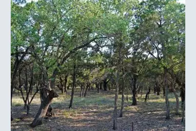 6805 Sunset Ridge Way, Jonestown, TX 78645 - Photo 4