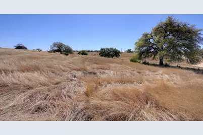 2803 Zenner Ahrens Road, Fredericksburg, TX 78624 - Photo 10