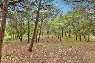 9004 Tara Ln, Austin, TX 78737 - Photo 30