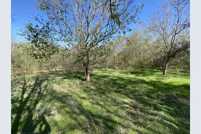 7603 Timber Hills Drive, Del Valle, TX 78617 - Photo 2