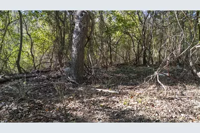 Tbd Darst Creek Lane, Seguin, TX 78155 - Photo 12