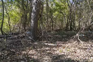 Tbd Darst Creek Ln, Seguin, TX 78155 - Photo 12