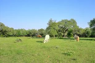 131 Hidden Creek, Wimberley, TX 78676 - Photo 32