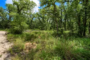 868 Co Rd 405, Buckholts, TX 76518 - Photo 18