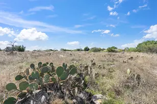Lot 65 Three Creeks Dr, Bertram, TX 78605 - Photo 6