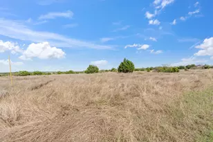 Lot 65 Three Creeks Dr, Bertram, TX 78605 - Photo 18