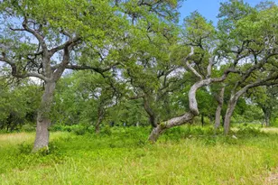 11002 Foundation Rd, Austin, TX 78726 - Photo 34