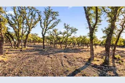 1422-12 Rm 2766, Johnson City, TX 78636 - Photo 4