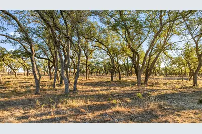 1422-12 Rm 2766, Johnson City, TX 78636 - Photo 1