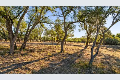 1422-12 Rm 2766, Johnson City, TX 78636 - Photo 2