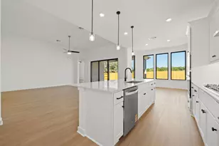 390 Muddy Crk Wy, Kyle, TX 78640 - Photo 6