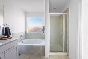 313 Majestic Cedar Dr, Liberty Hill, TX 78642 - Photo 12