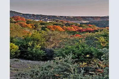 17621 W Reed Parks Road, Jonestown, TX 78645 - Photo 22