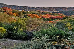 17621 W Reed Parks Rd, Jonestown, TX 78645 - Photo 22