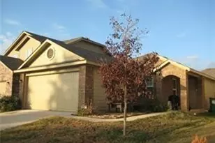 14208 Cottingham Dr, Austin, TX 78725 - Photo 10