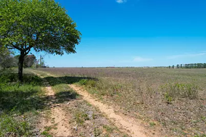 1550 Cattlemens Row, Lockhart, TX 78644 - Photo 10
