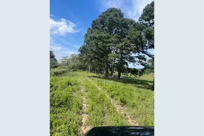 1550 Cattlemens Row, Lockhart, TX 78644 - Photo 4