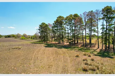 1550 Cattlemens Row, Lockhart, TX 78644 - Photo 16