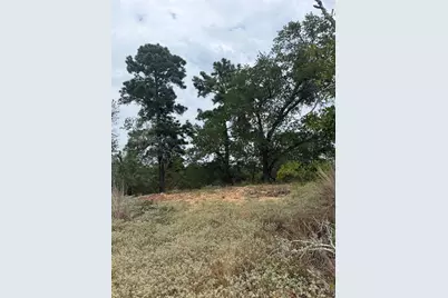 Lots 236 and 237 Kaelepulu Lane, Bastrop, TX 78602 - Photo 2