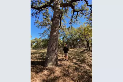 [Address not provided], Burnet, TX 78611 - Photo 14