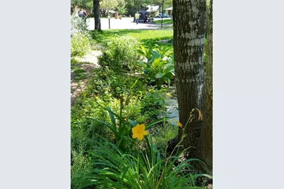4809 Misty Brook Cove, Austin, TX 78727 - Photo 28