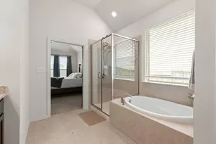 232 Silver Pass, Kyle, TX 78640 - Photo 24