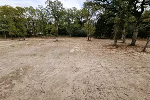 116 Pine Point Cove, Elgin, TX 78621 - Photo 24