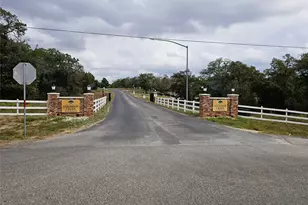 116 Pine Point Cove, Elgin, TX 78621 - Photo 30