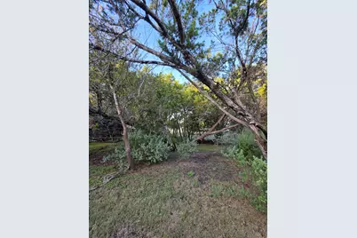 311 Barton Meadow Drive, Dripping Springs, TX 78620 - Photo 28