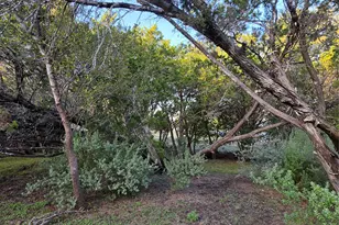 311 Barton Meadow Dr, Dripping Springs, TX 78620 - Photo 28