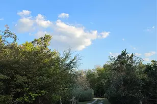 311 Barton Meadow Dr, Dripping Springs, TX 78620 - Photo 28