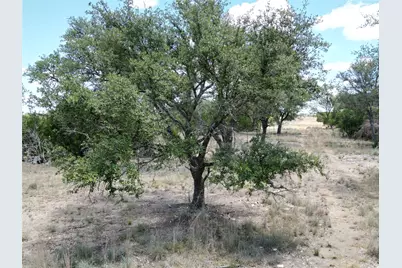 Tbd 183 Highway, Lometa, TX 76550 - Photo 6