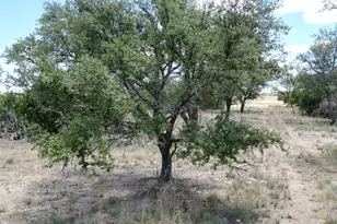 Tbd 183 Hwy, Lometa, TX 76550 - Photo 6