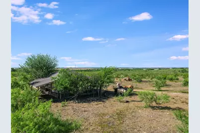 550 Schubert Lane, Kyle, TX 78640 - Photo 6