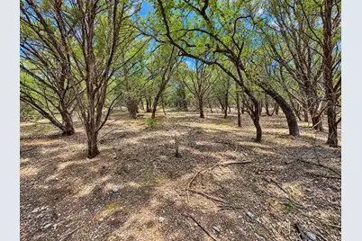 21004 Post Oak Drive, Lago Vista, TX 78645 - Photo 6