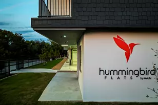 5515 Humming Bird Ln, Austin, TX 78745 - Photo 12