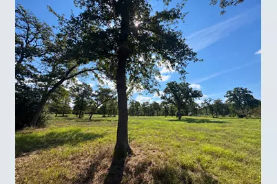 1523 Fm 535, Smithville, TX 78957 - Photo 8