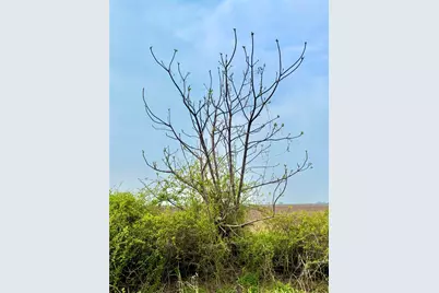 Tbd Tract 13 County Road 210, Eagle Lake, TX 77434 - Photo 6