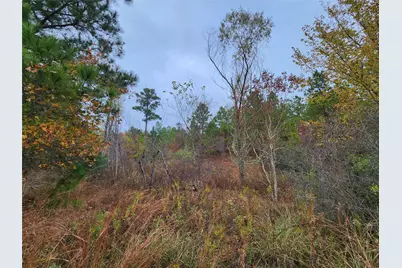 Tbd Mahalo Court, Bastrop, TX 78602 - Photo 6