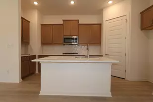 194 Norway Spruce St, Dripping Springs, TX 78620 - Photo 4