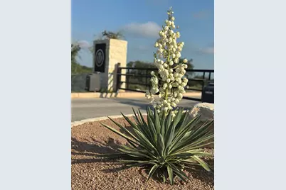 682 Evergreen Circle, Round Mountain, TX 78663 - Photo 14