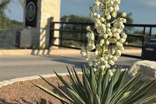 682 Evergreen Cir, Round Mountain, TX 78663 - Photo 14