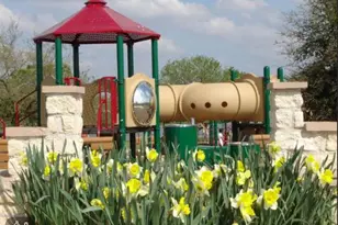 703 Country Aire Dr, Round Rock, TX 78664 - Photo 40