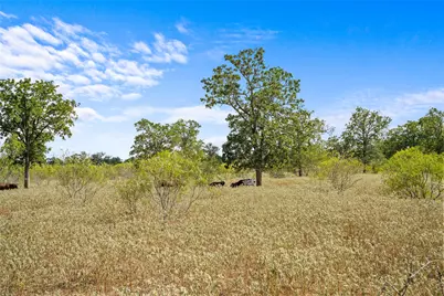 5720 Fm 2237 Road, Flatonia, TX 78941 - Photo 22