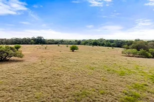 1272 Old Lytton Springs Rd, Lockhart, TX 78644 - Photo 18